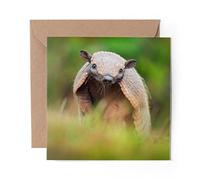 1 x Greeting Card Cute Baby Armadillo Animal - Blank Birthday Celebration Anniversary #3052