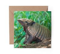1 x Greeting Card Cute Baby Armadillo Animal - Blank Birthday Celebration Anniversary #3053