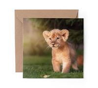 1 x Greeting Card Cute Baby Lion Cub Cat - Blank Birthday Celebration Anniversary #15785