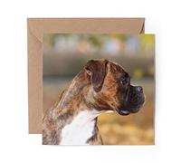 1 x Greeting Card Cute Boxer Puppy Dog Pet - Blank Birthday Celebration Anniversary #2694