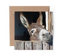 1 x Greeting Card Cute Donkey Animal Horse Wild - Blank Birthday Celebration Anniversary #8260