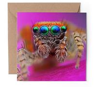 1 x Greeting Card - Cute Jumping Spider - Blank Birthday Celebration Anniversary #50667