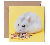 1 x Greeting Card - Cute Little Dwarf Hamster - Blank Birthday Celebration Anniversary #50670