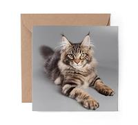1 x Greeting Card Cute Maine Coon Cat - Blank Birthday Celebration Anniversary #15678