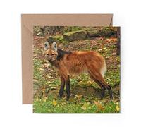 1 x Greeting Card Cute Maned Wolf Dog Animal - Blank Birthday Celebration Anniversary #3451