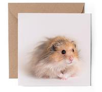 1 x Greeting Card - Cute Pet Hamster Blonde White - Blank Birthday Celebration Anniversary #50682