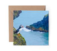 1 x Greeting Card Cute Puffin Bird Sea Birds Iceland Wild - Blank Birthday Celebration Anniversary #24072