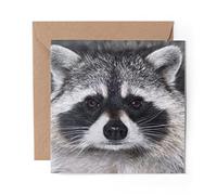 1 x Greeting Card Cute Raccoon Face - Blank Birthday Celebration Anniversary #14190