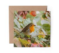 1 x Greeting Card Cute Red Robin Bird Garden Winter - Blank Birthday Celebration Anniversary #14318