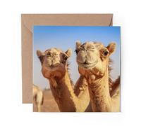 1 x Greeting Card Cute Smiling Camels Animals Desert - Blank Birthday Celebration Anniversary #8278