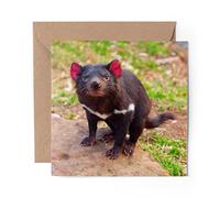 1 x Greeting Card Cute Tasmanian Devil Animal - Blank Birthday Celebration Anniversary #2201
