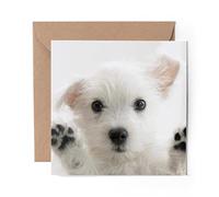1 x Greeting Card Cute Westie Puppy Dog - Blank Birthday Celebration Anniversary #8954