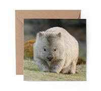 1 x Greeting Card Cute Wombat Australia Animal - Blank Birthday Celebration Anniversary #2295