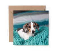 1 x Greeting Card Dachshund Puppy Dog Snuggled Blanket - Blank Birthday Celebration Anniversary #44829