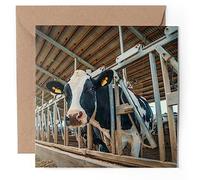 1 x Greeting Card - Dairy Cows Cattle Farm Animal - Blank Birthday Celebration Anniversary #50717