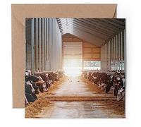 1 x Greeting Card - Dairy Cows Cattle Farm - Blank Birthday Celebration Anniversary #50716