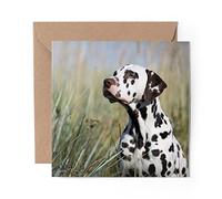 1 x Greeting Card Dalmatian Puppy Dog Pet - Blank Birthday Celebration Anniversary #15870