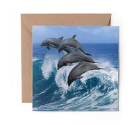 1 x Greeting Card Dolphin Pod Whale Ocean Sea - Blank Birthday Celebration Anniversary #2333