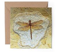 1 x Greeting Card - Dragonfly Fossil Dinosaurs - Blank Birthday Celebration Anniversary #50772
