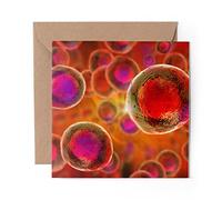 1 x Greeting Card Embryonic Stem Cells Biology Science - Blank Birthday Celebration Anniversary #16852