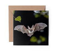 1 x Greeting Card Flying Long Eared Bat - Blank Birthday Celebration Anniversary #3427