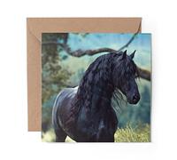 1 x Greeting Card Friesian Stallion Black Horse Equine - Blank Birthday Celebration Anniversary #16227