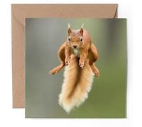 1 x Greeting Card - Funny Jumping Red Squirrel - Blank Birthday Celebration Anniversary #63117