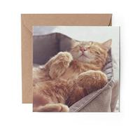 1 x Greeting Card Funny Sleeping Ginger Cat Kitten - Blank Birthday Celebration Anniversary #21072