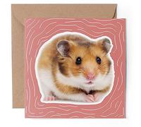 1 x Greeting Card - Funny Syrian Hamster Animal - Blank Birthday Celebration Anniversary #59739