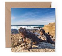 1 x Greeting Card - Galapagos Marine Iguanas Lizard Reptile - Blank Birthday Celebration Anniversary #50988