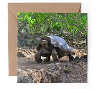 1 x Greeting Card - Galapagos Tortoise Nature Biology - Blank Birthday Celebration Anniversary #50990