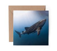 1 x Greeting Card Giant Whale Shark Ocean Nature Wild - Blank Birthday Celebration Anniversary #45148