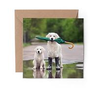 1 x Greeting Card Golden Retriever Labrador Dogs - Blank Birthday Celebration Anniversary #15644