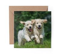 1 x Greeting Card Golden Retriever Puppy Dogs Labrador - Blank Birthday Celebration Anniversary #45178
