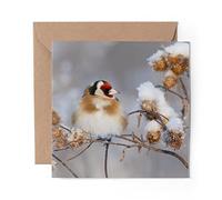 1 x Greeting Card Goldfinch Small Garden Bird - Blank Birthday Celebration Anniversary #45183