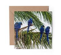 1 x Greeting Card Great Blue Macaw Parrot Birds - Blank Birthday Celebration Anniversary #21641