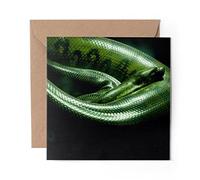 1 x Greeting Card Green Anaconda Snake - Blank Birthday Celebration Anniversary #21647