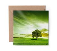 1 x Greeting Card Green Field Tree Nature Sunset - Blank Birthday Celebration Anniversary #8264
