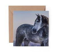1 x Greeting Card Grey Andalusian Horse - Blank Birthday Celebration Anniversary #12472