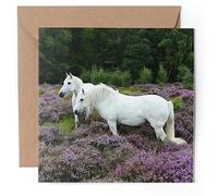 1 x Greeting Card - Grey Highland Ponies Horse Pony - Blank Birthday Celebration Anniversary #51102