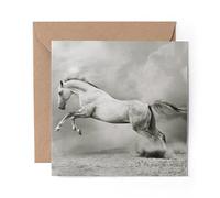 1 x Greeting Card Grey White Stallion Horse Pony Horses - Blank Birthday Celebration Anniversary #24193