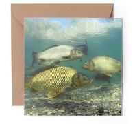 1 x Greeting Card - Group of Carp Fish Pond Fishing - Blank Birthday Celebration Anniversary #51110