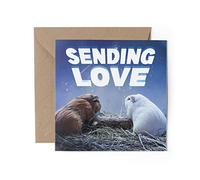 1 x Greeting Card - Guinea Pig Sending Love Pets Animals Stars Night Sky Happy Birthday Sorry Sympathy Love Mum Dad Girls Boys Friend #79734