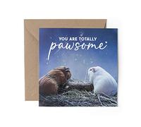 1 x Greeting Card - Guinea Pig Totally Pawsome Awesome Pets Animals Stars Night Happy Birthday Sorry Love Mum Dad Girls Boys Friend #79736