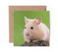 1 x Greeting Card Hamster Pet Animals Rodent - Blank Birthday Celebration Anniversary #8277