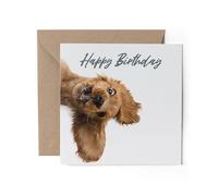 1 x Greeting Card - Happy Birthday Crazy Cocker Spaniel Dog Puppy Gift #71065