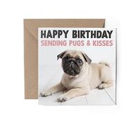 1 x Greeting Card - Happy Birthday Pug Pugs & Kisses Puppy Dogs Pets Animals Love Wife Partner Mum Dad Girls Boys Friend #79801