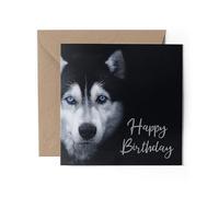 1 x Greeting Card - Happy Birthday Siberian Husky Dog Blue Eyes Sibe Sled Portrait Black White Gift #71037