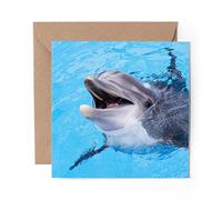 1 x Greeting Card Happy Dolphin Ocean Water - Blank Birthday Celebration Anniversary #14574
