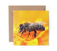 1 x Greeting Card Honey Bumble Bee Flower - Blank Birthday Celebration Anniversary #16850